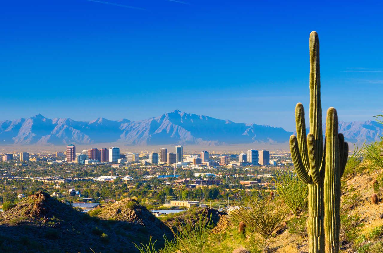 Cambria Hotel Phoenix - North Scottsdale Dış mekan fotoğraf