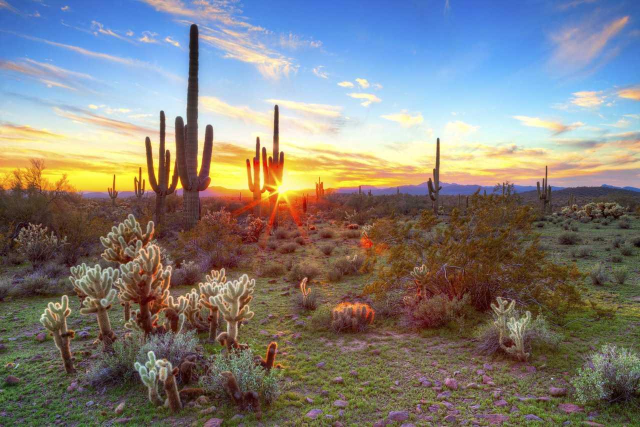 Cambria Hotel Phoenix - North Scottsdale Dış mekan fotoğraf