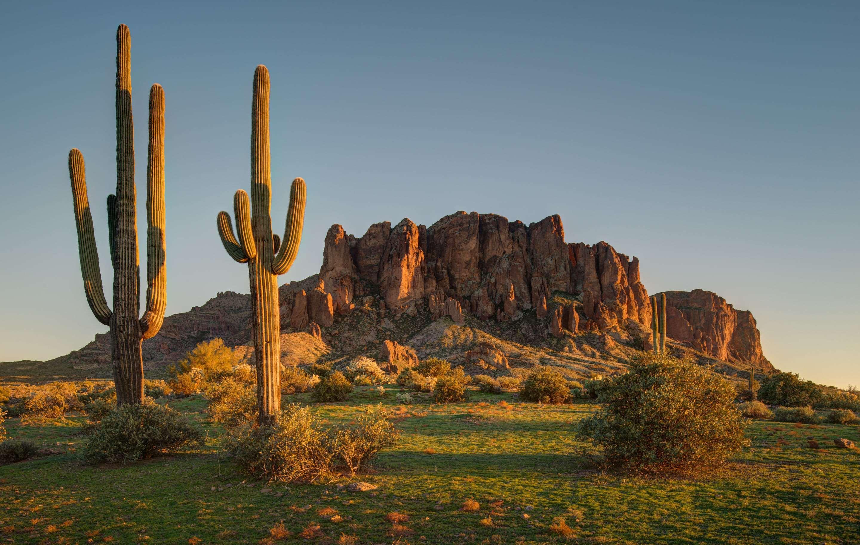 Cambria Hotel Phoenix - North Scottsdale Dış mekan fotoğraf